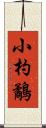 小杓鷸 Scroll