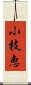 小枝恵 Scroll