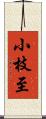 小枝至 Scroll