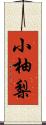 小柚梨 Scroll