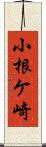 小根ケ崎 Scroll