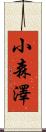 小森澤 Scroll