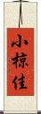 小椋佳 Scroll
