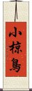 小椋鳥 Scroll