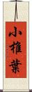 小椎葉 Scroll