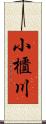 小櫃川 Scroll
