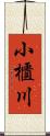 小櫃川 Scroll