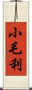 小毛利 Scroll