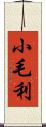 小毛利 Scroll