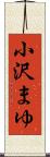 小沢まゆ Scroll