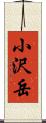小沢岳 Scroll