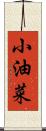 小油菜 Scroll