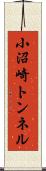 小沼崎トンネル Scroll