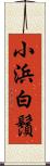 小浜白鬚 Scroll