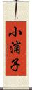小浦子 Scroll