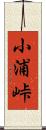 小浦峠 Scroll
