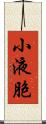 小液胞 Scroll