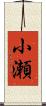 小瀬 Scroll