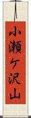 小瀬ケ沢山 Scroll