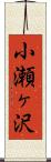 小瀬ヶ沢 Scroll