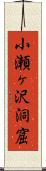小瀬ヶ沢洞窟 Scroll
