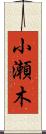 小瀬木 Scroll