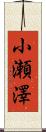 小瀬澤 Scroll