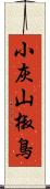 小灰山椒鳥 Scroll