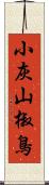 小灰山椒鳥 Scroll