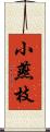 小燕枝 Scroll