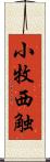 小牧西触 Scroll