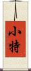 小特 Scroll