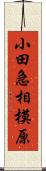 小田急相模原 Scroll