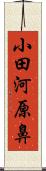小田河原鼻 Scroll