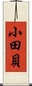 小田貝 Scroll