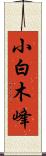 小白木峰 Scroll