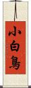 小白鳥 Scroll
