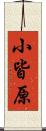 小皆原 Scroll