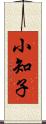 小知子 Scroll