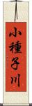 小種子川 Scroll