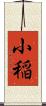 小稲 Scroll