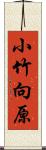 小竹向原 Scroll