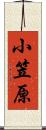 小笠原 Scroll