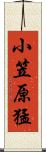 小笠原猛 Scroll
