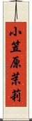 小笠原茉莉 Scroll