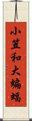 小笠和大蝙蝠 Scroll