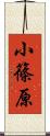 小篠原 Scroll