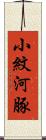 小紋河豚 Scroll