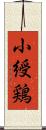 小綬鶏 Scroll