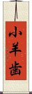 小羊歯 Scroll